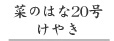 菜のはな20号けやき